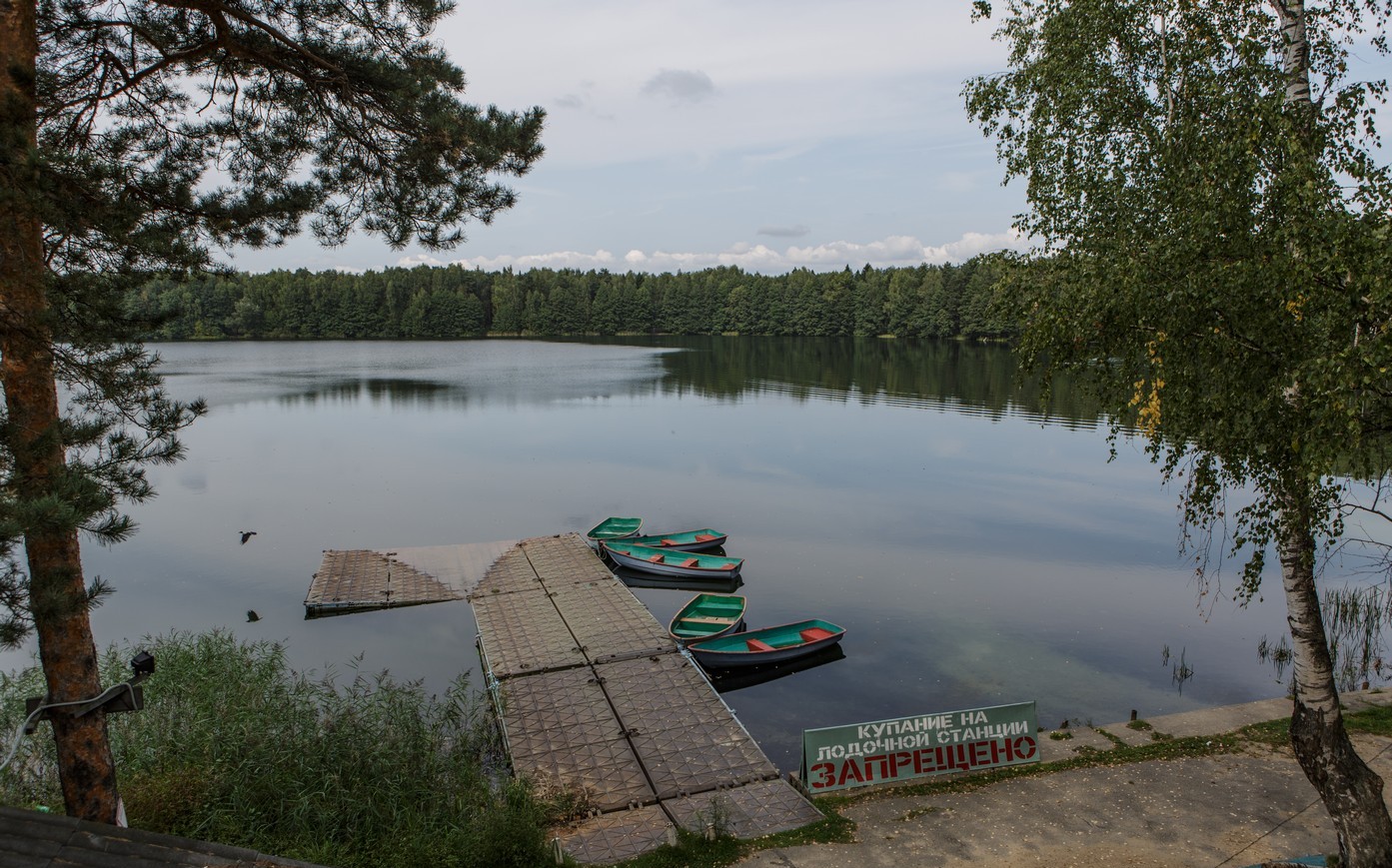 ногинский район луковое озеро